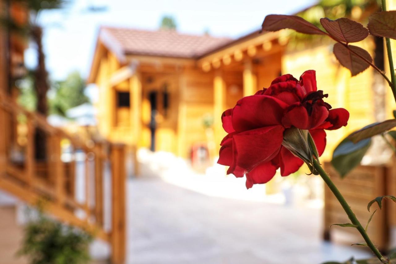 Bujtina Siar Otel Pogradaş Dış mekan fotoğraf
