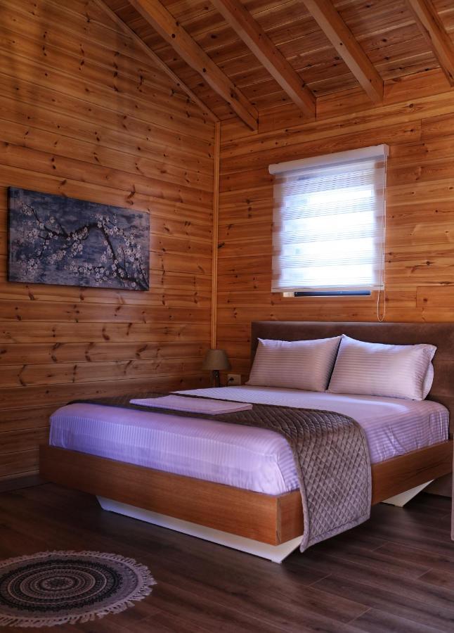 Bujtina Siar Otel Pogradaş Dış mekan fotoğraf