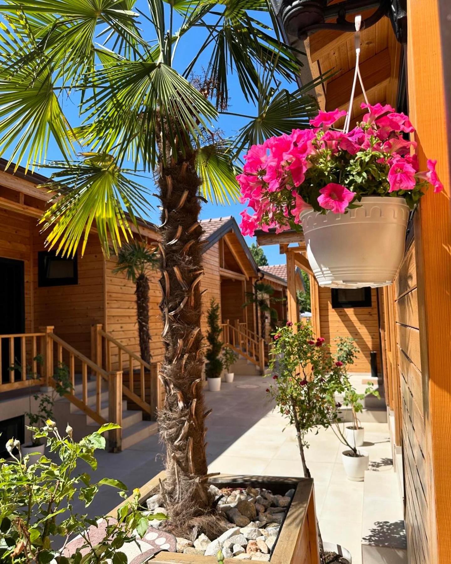 Bujtina Siar Otel Pogradaş Dış mekan fotoğraf