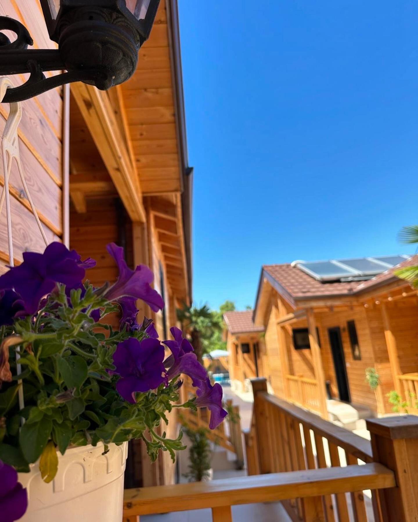 Bujtina Siar Otel Pogradaş Dış mekan fotoğraf